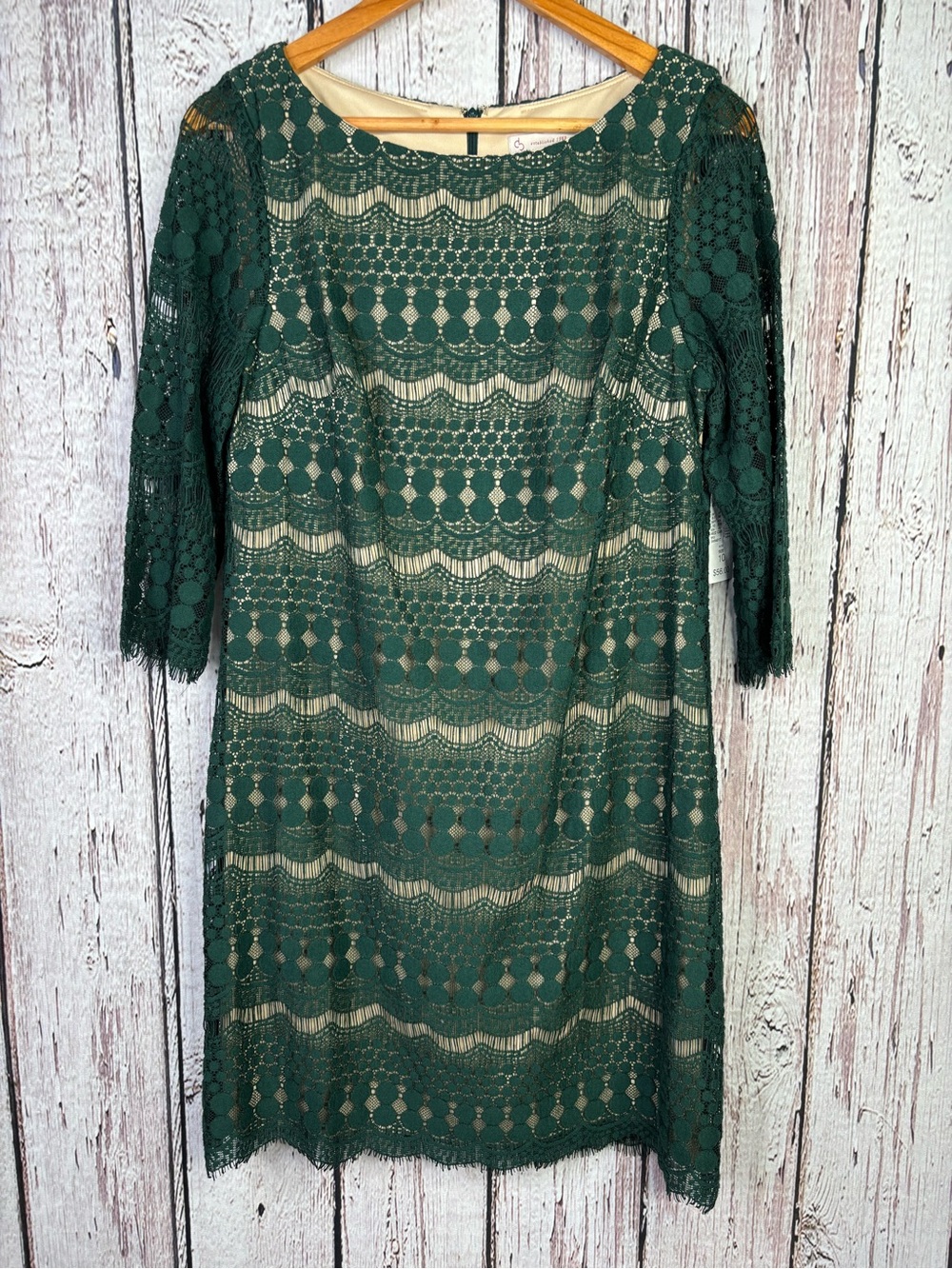 🏷️NWT Dress Barn Size 10 Sheath Dress Lacy Dark Green Nude Lining Sheer Sleeves